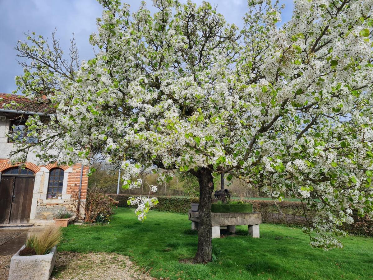 فيلا Domaine Du Cuiset - Gite Du Four A Pain Saint-André-sur-Vieux-Jonc المظهر الخارجي الصورة